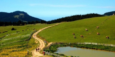 Tokat'ın Yaylaları