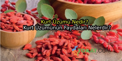 Kurt Üzümü Ve Faydaları