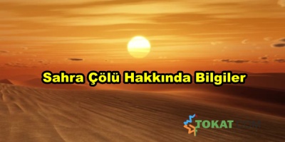Sahra Çölü Hakkında Bilinmeyenler