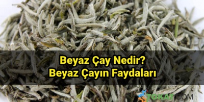 Beyaz Çayın Faydaları