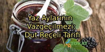 Yaz Aylarının Vazgeçilmezi; Dut Reçeli Tarifi