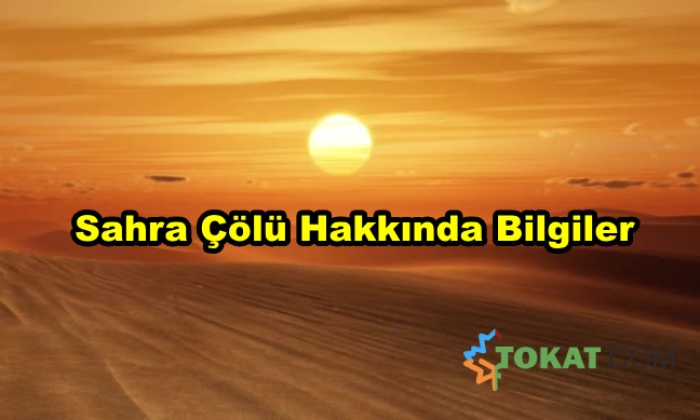 Sahra Çölü Hakkında Bilinmeyenler