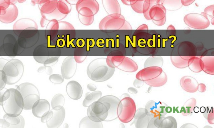 Lökopeni Nedir?