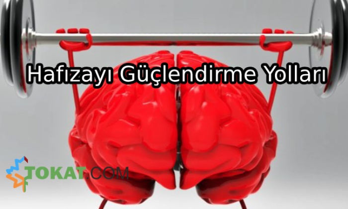 Hafızayı Güçlendirme Yolları