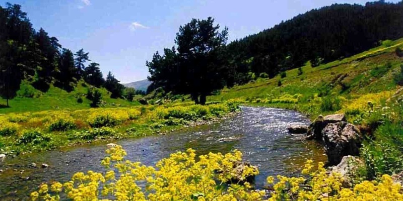 Topçam Yaylası - Tokat