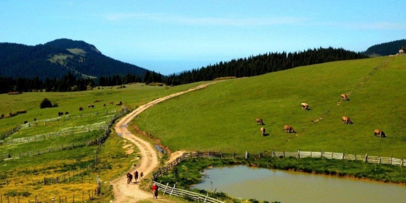 Tokat'ın Yaylaları