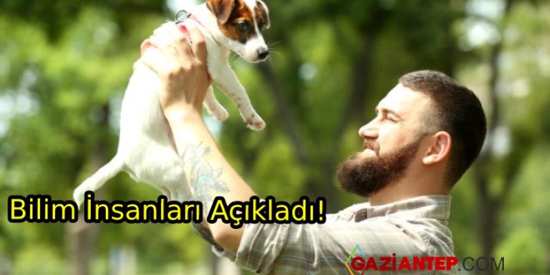 Bilim İnsanlarından Açıklama: Köpekler, Sakallı Erkeklerden Daha Temiz
