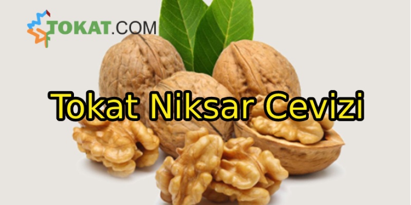 Tokat Niksar Cevizinin Ayırt Edici Özellikleri