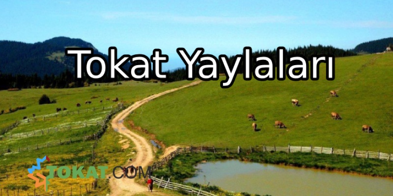 Tokat Yaylaları