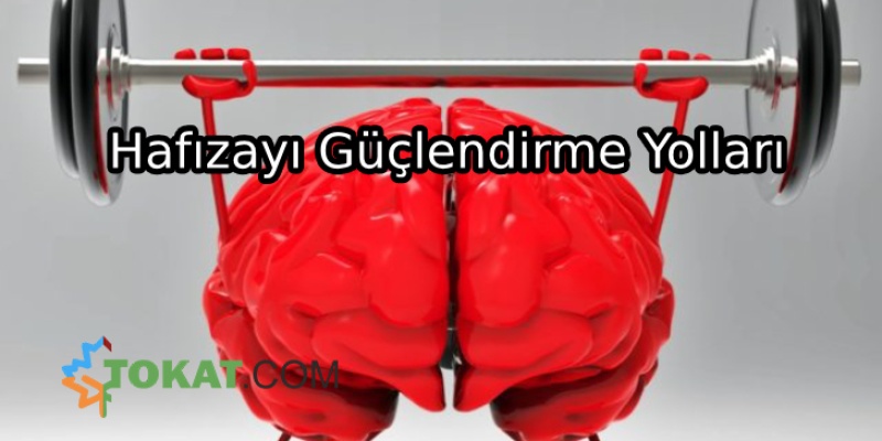Hafızayı Güçlendirme Yolları