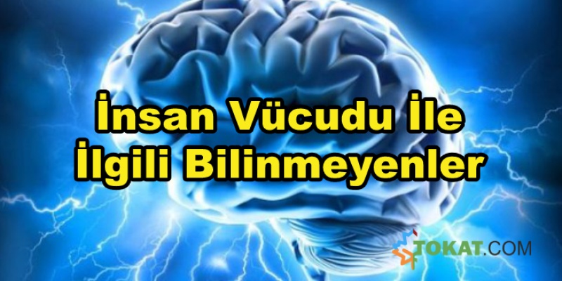 İnsan Vücudu İle İlgili Bilinmeyenler