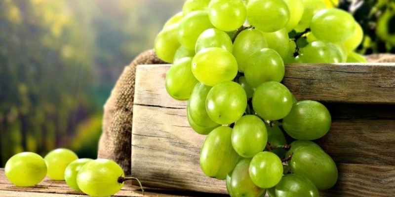 ÜZÜMÜN BU FAYDALARINA ÇOK ŞAŞIRACAKSINIZ