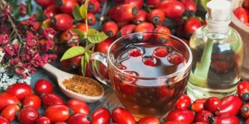 Kuşburnunun Faydaları